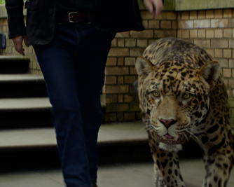 Media Key Jaguar Lancia Il Nuovo Spot Della Campagna Internazionale A Breed Apart Nati Per Distinguersi Con Thure Lindhardt